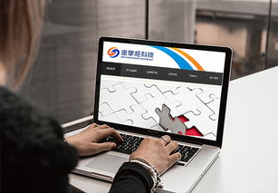 智慧互聯，專業信賴——金掌柜電子科技公司LOGO設計方案